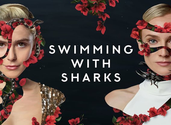 Swimming with Sharks