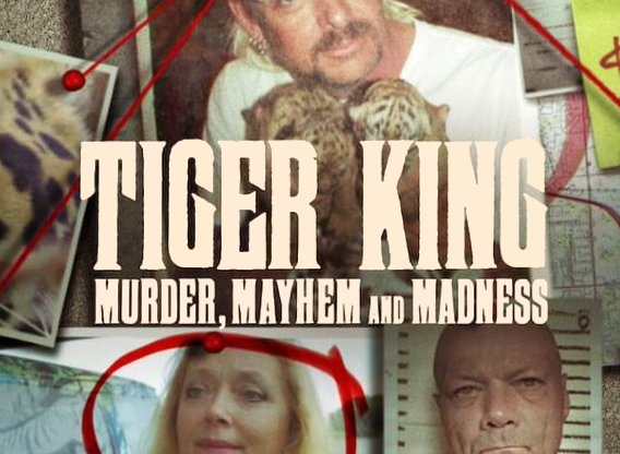 Tiger King - Murder Mayhem and Madness