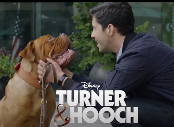 Turner and Hooch