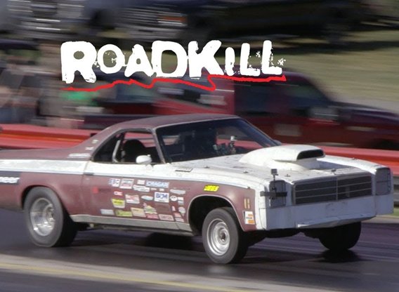 Roadkill