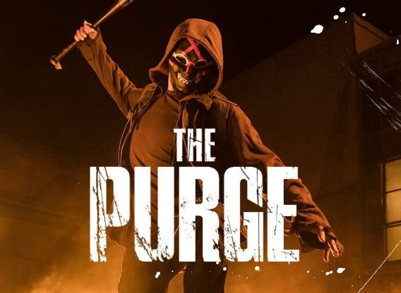 The Purge