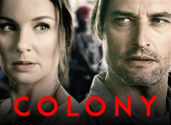 Colony