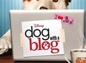 Dog with a blog