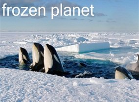 Frozen Planet